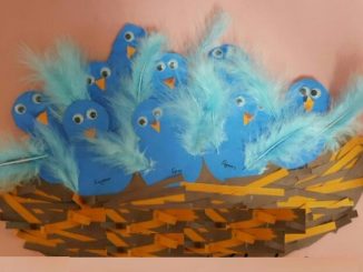 bird-nest-craft-idea