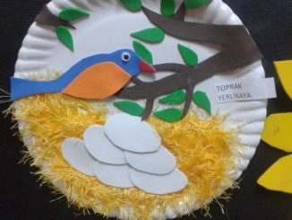 paper-plate-bird-nest-craft-idea