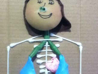 human body craft