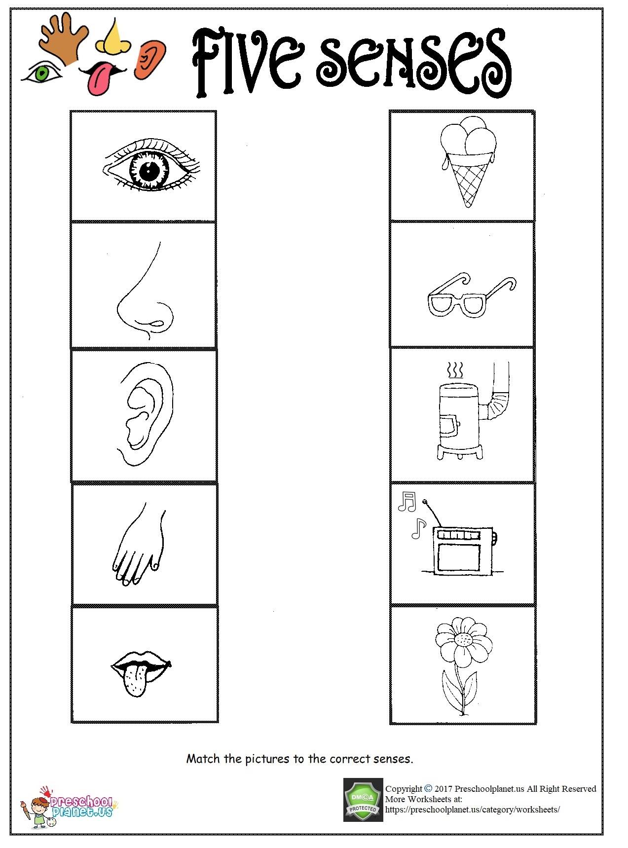 Printable five senses worksheet