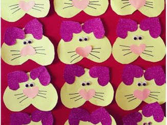 heart cat craft