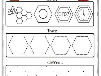 Hexagon Worksheet