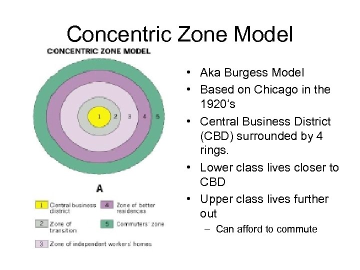 Concentric Zone Model • Aka Burgess Model • Based on Chicago in the 1920’s