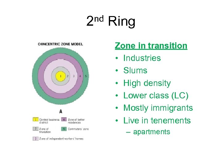 2 nd Ring Zone in transition • Industries • Slums • High density •