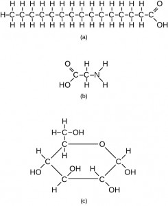 Examples of three different carbon-containing molecules.