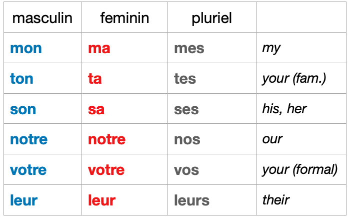 Adjectifs Possessifs – Introduction to French Level I