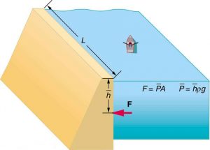 Example: Calculating the Average Pressure and Force Exerted: What Force Must a Dam Withstand?