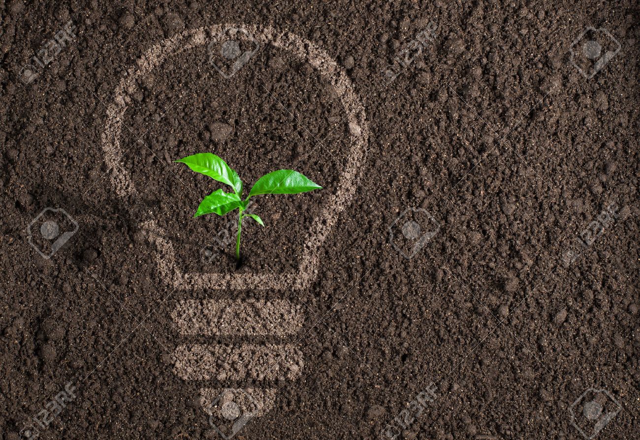 Green Plant In Light Bulb Silhouette On Soil Background Stock Photo,  Picture And Royalty Free Image. Image 37204920.