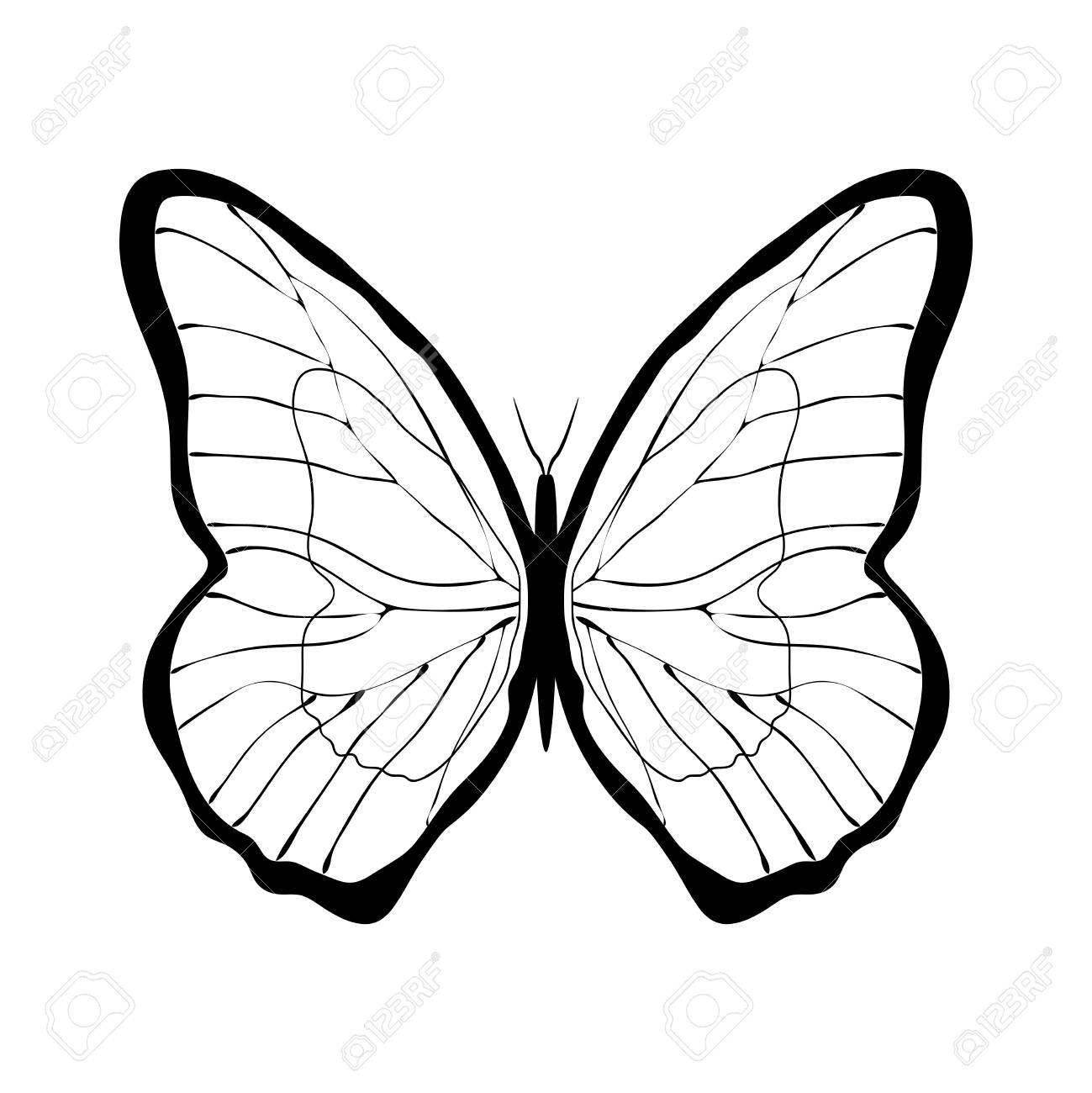 Graphic Symbol Butterfly Isolated Black Sign On White Background