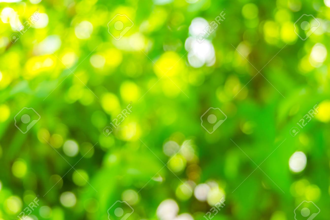 Nature Bokeh Background, Abstract Blurred Bokeh Green Nature ...