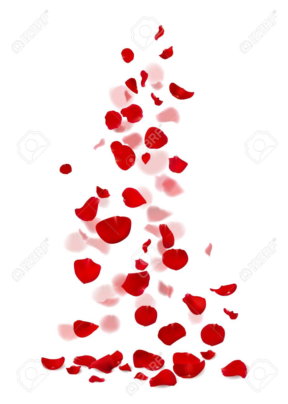 Red And Pink Rose Petals Falling Down Royalty Free Cliparts Vectors And Stock Illustration Image