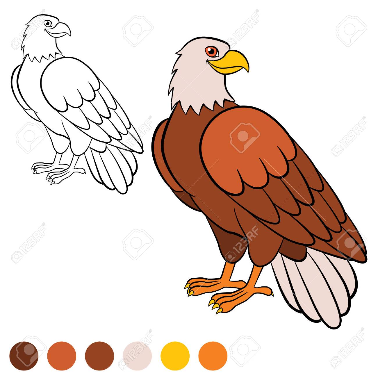 Dibujo Para Colorear. Color Me: águila. águila Calva Lindo Se Sienta Y  Sonríe. Ilustraciones Svg, Vectoriales, Clip Art Vectorizado Libre De  Derechos. Image 58544317.