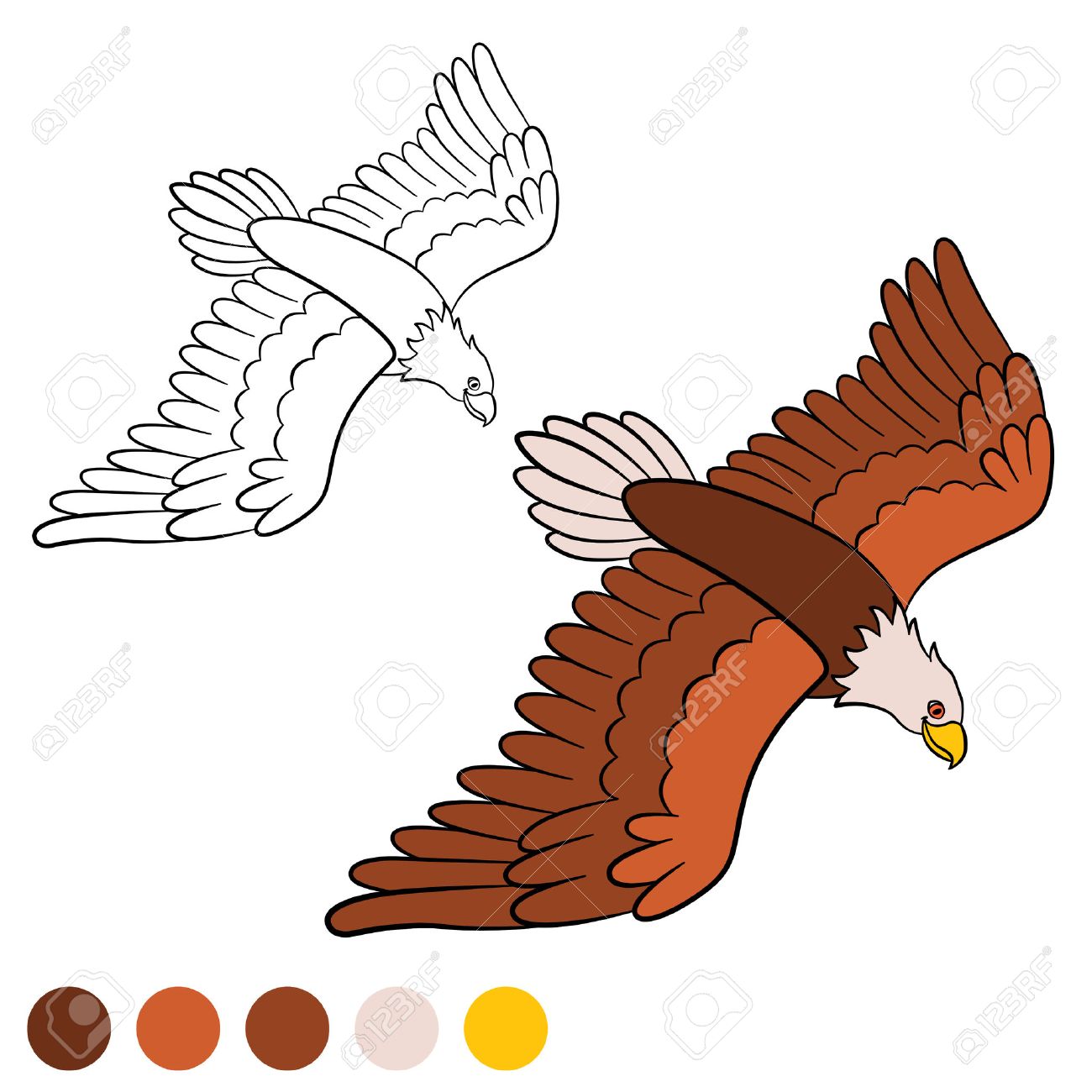 Dibujo Para Colorear. Color Me: águila. Linda Vuelo Del águila Calva Y  Sonriente. Ilustraciones Svg, Vectoriales, Clip Art Vectorizado Libre De  Derechos. Image 58544319.