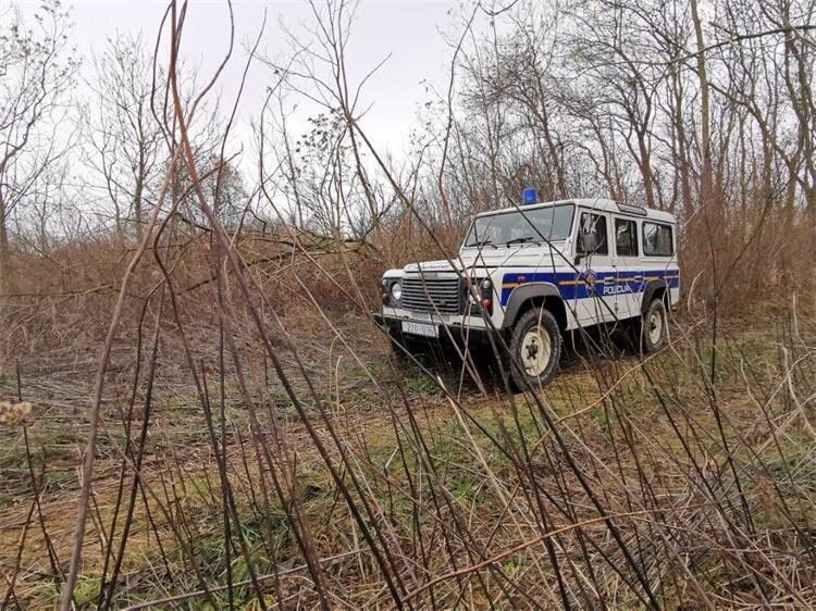 Prilikom sječe stabala smrtno stradao 82-godišnjak