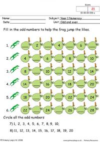 Numeracy: Counting objects (up to 20) | Worksheet | PrimaryLeap.co.uk