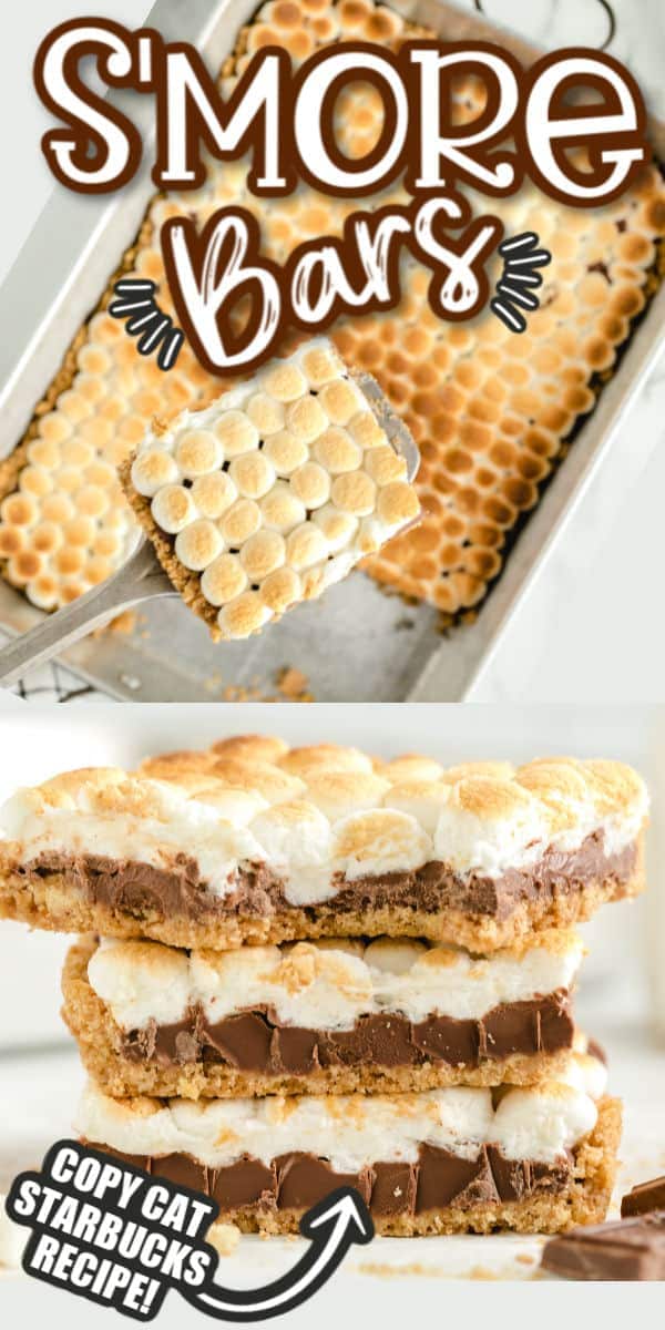 The best s'more bar recipe pinterest