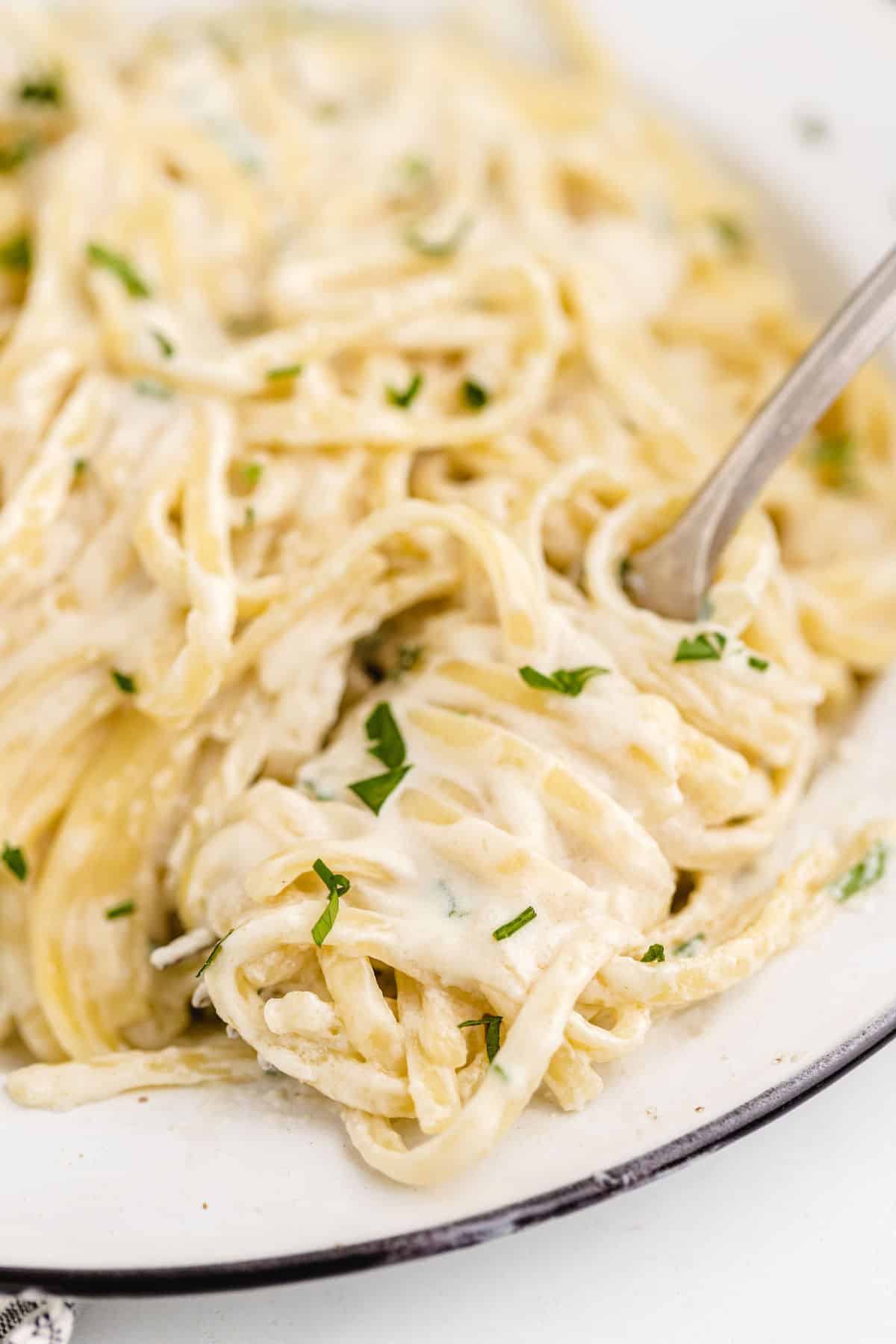 Copycat Olive Garden Alfredo Sauce close up