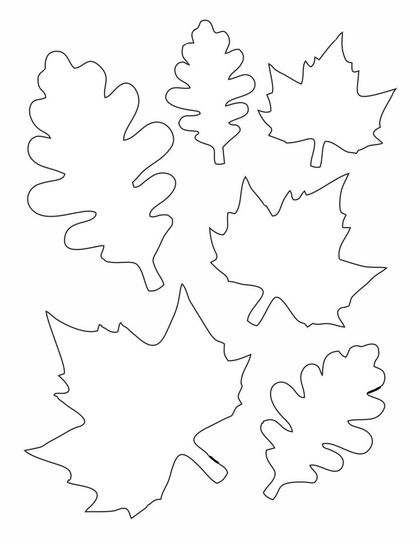 Fall Leaf Printable Patterns