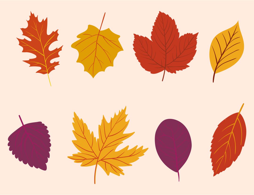 Printable Autumn Leaves Cutouts