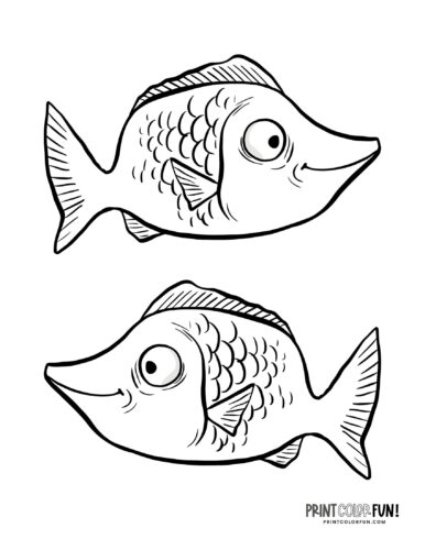 Cute funny fish coloring page drawing from PrintColorFun com (19)