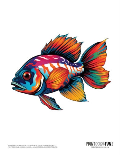 Fish color clipart graphic from PrintColorFun com (7)