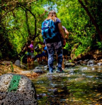 Hiking at Agamon HaHula