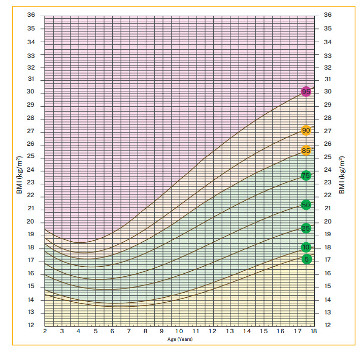 Healthy weight calculator for children and teenagers - Healthy Kids for ...