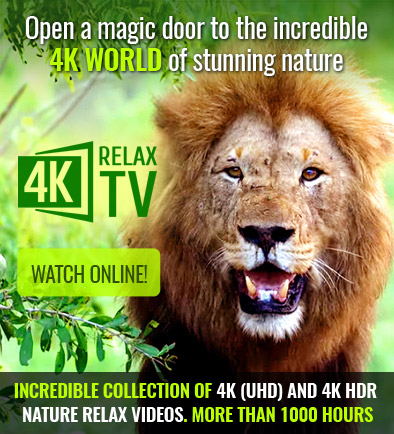 4K Relax TV streaming video service