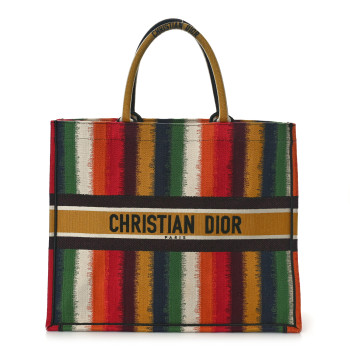 CHRISTIAN DIOR Canvas Embroidered Medium Striped Book Tote Multicolor