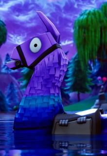 Fortnite Llama WP