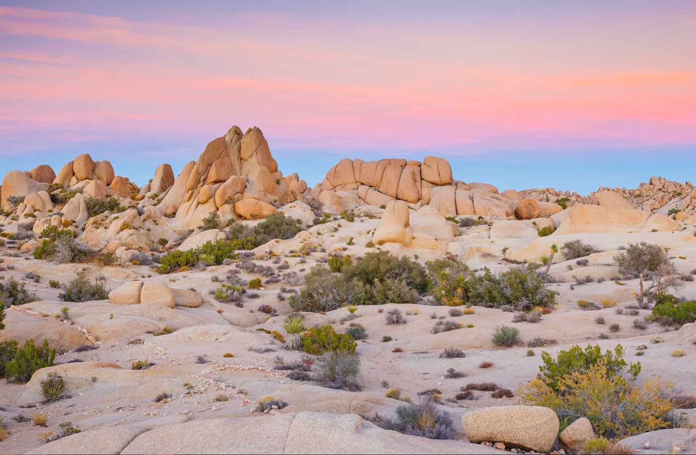 <a href="https://www.capgemini.com/fi-en/news/inside-stories/mojave-desert/">The Mojave Desert: Data for tortoises and tires</a>