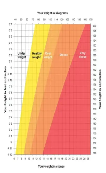 Height And Weight Chart Template For Men - PDFSimpli