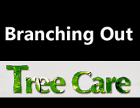 Tree Services in Whangarei | Yellow® NZ