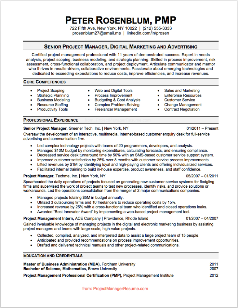 Project Manager Resume Sample - A Step by Step Guide image.