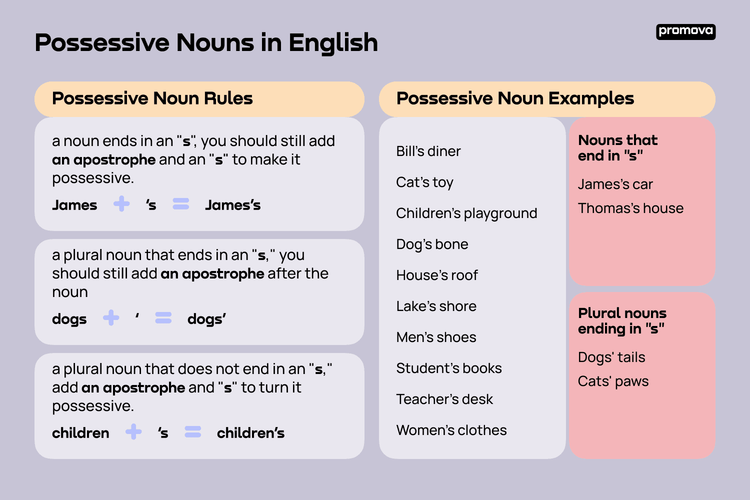 Ten Examples Of Possessive Nouns - Printable Online