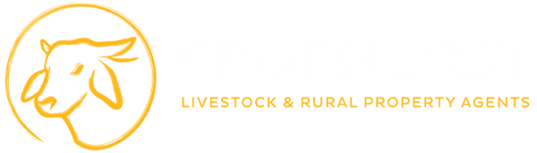 Prophurst Pty Ltd