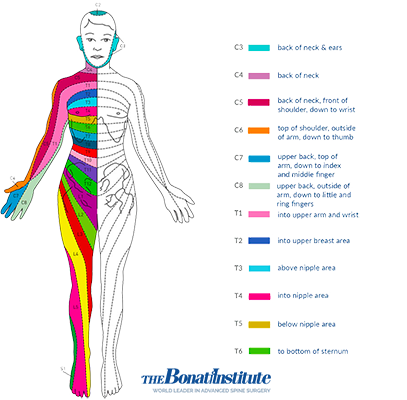 Prosthetic Device Replacement - Prosthetics Resource