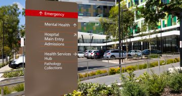 Increased nurse-to-patient ratio in line for Wagga Base Hospital