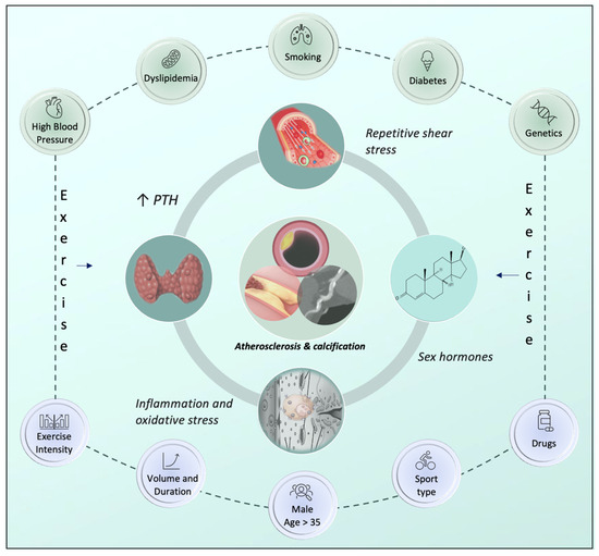 JCM | Free Full-Text | The Spectrum of Coronary Artery Disease in Elite ...