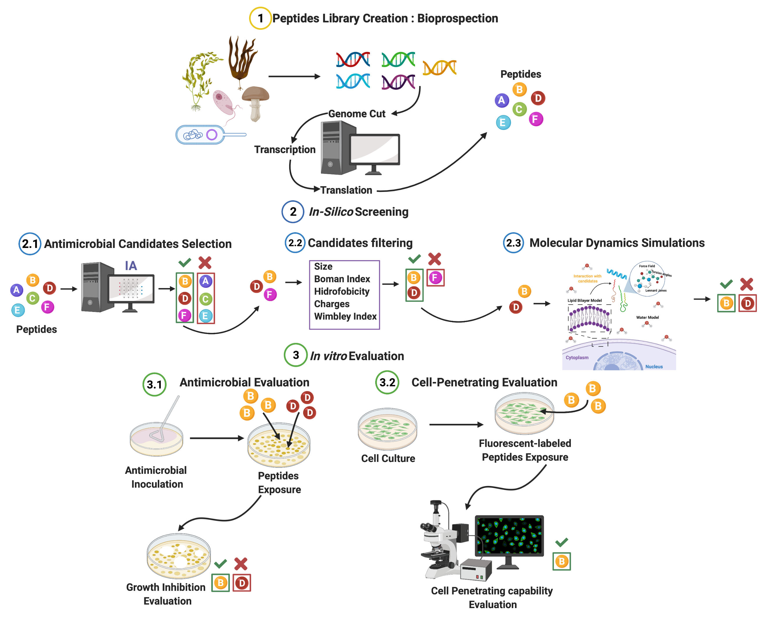 Membranes | Free Full-Text | Rational Discovery of Antimicrobial ...