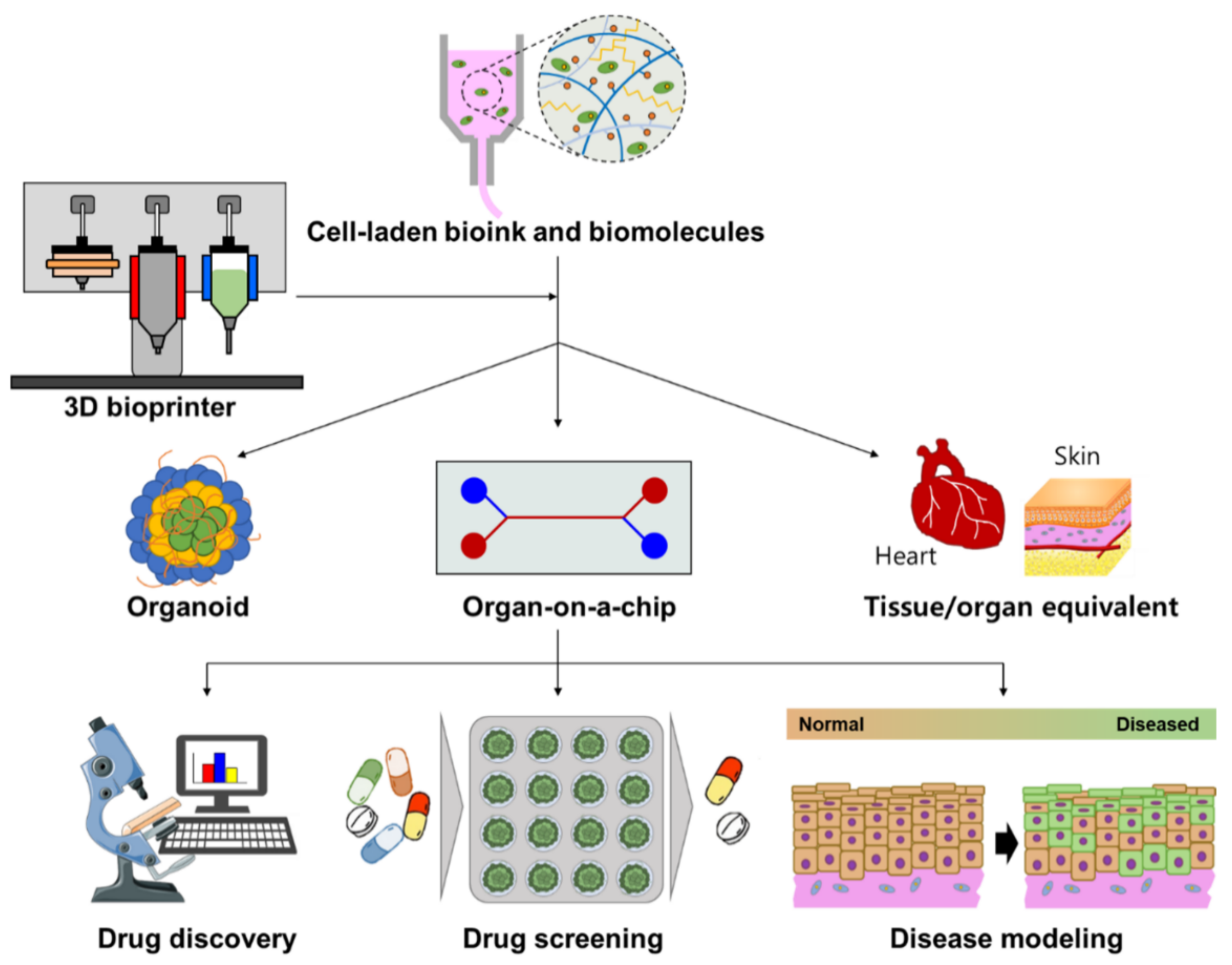 Pharmaceutics | Free Full-Text | Recent Developments in 3D Bio-Printing ...