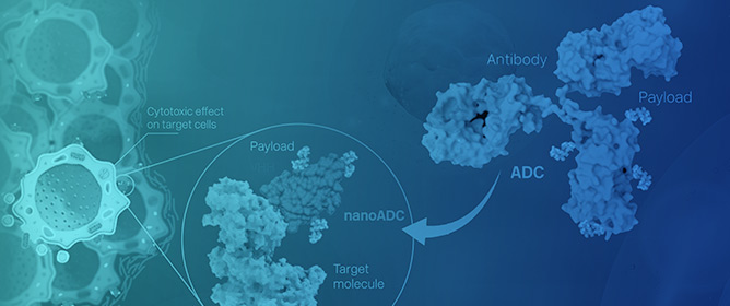 Single-Domain Antibodies as Antibody&ndash;Drug Conjugates: From Promise to Practice&mdash;A Systematic Review