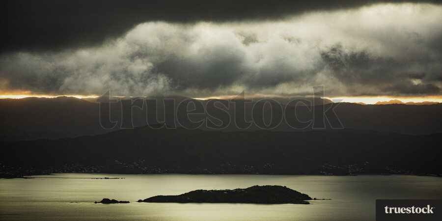 Wellington Harbour