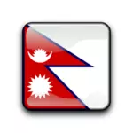 Flag of Nepal inside square