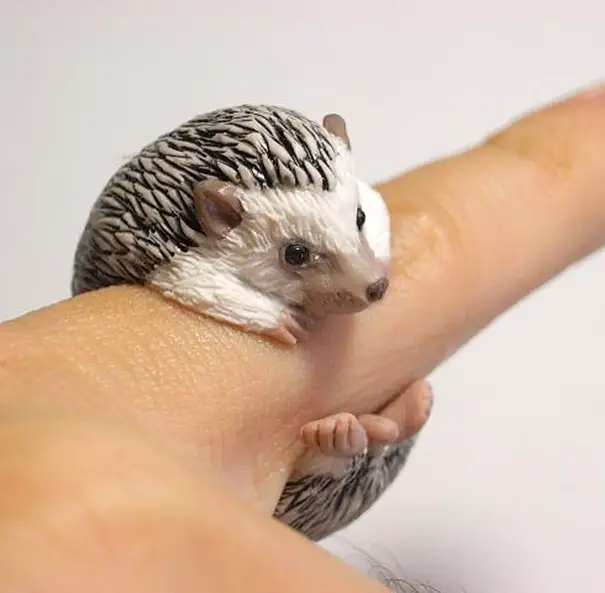 Realistic Animal Rings