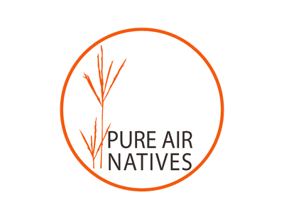 Pure Air Natives