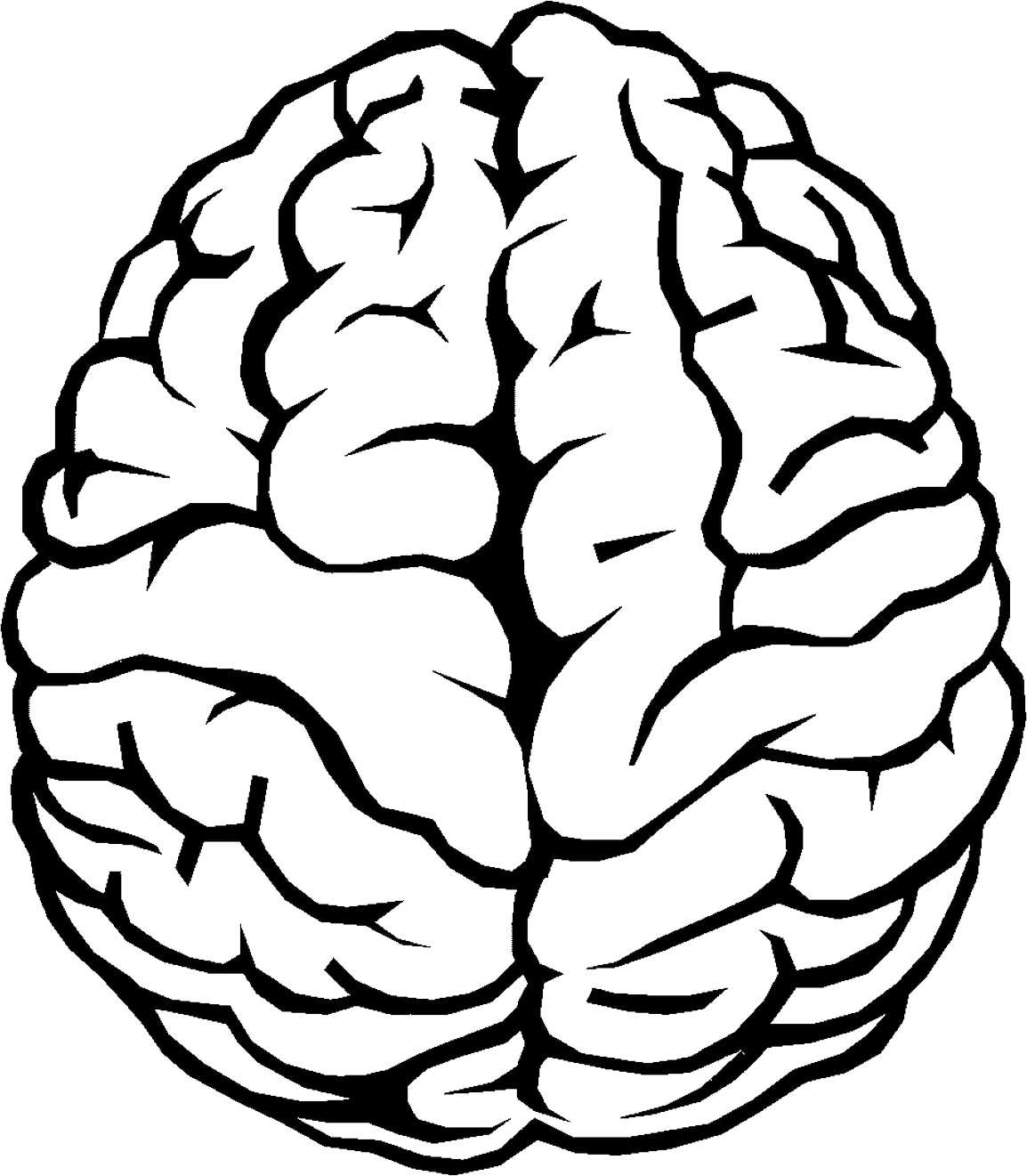 Brain Outline Png