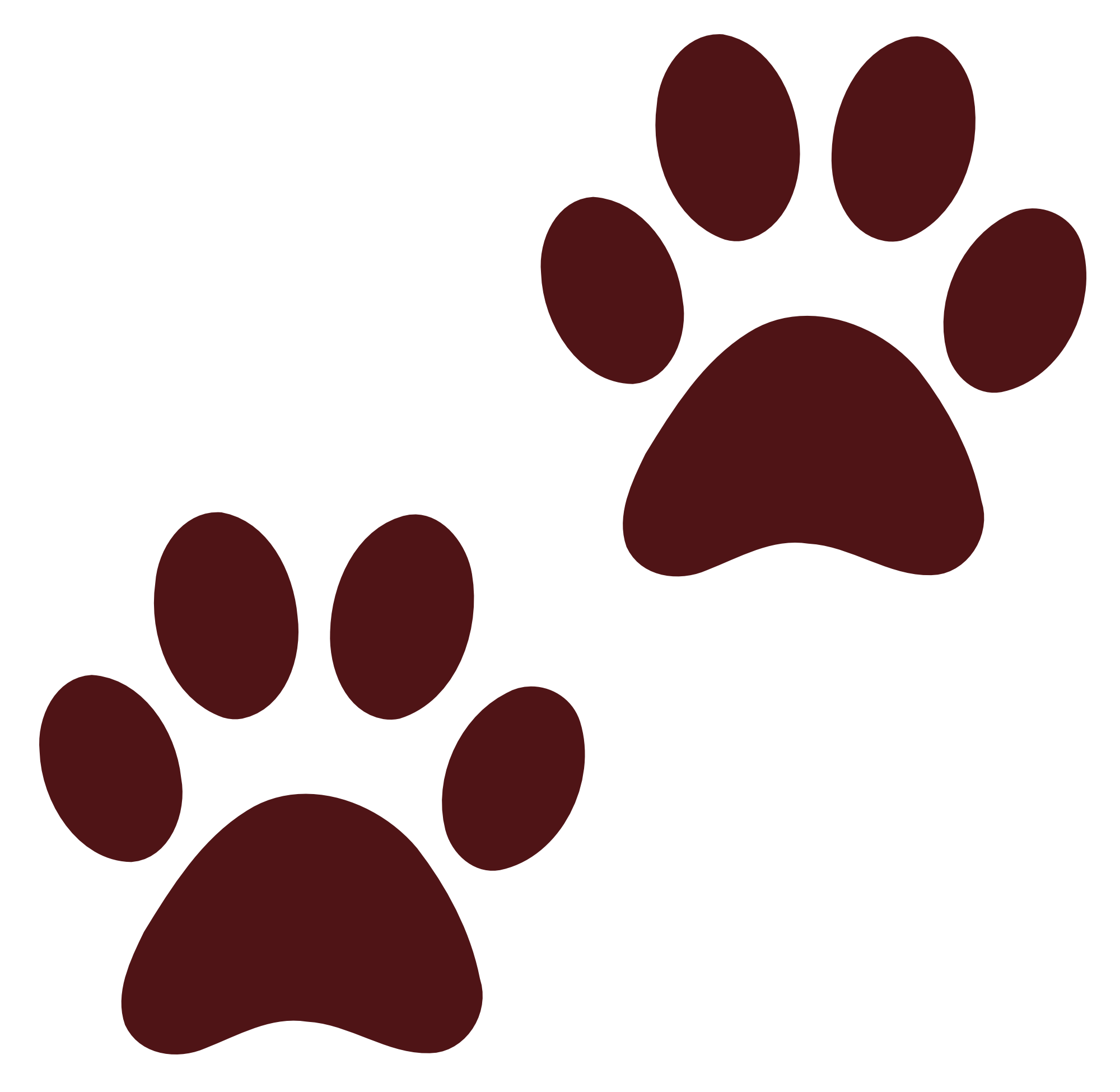 Dog Paw Print