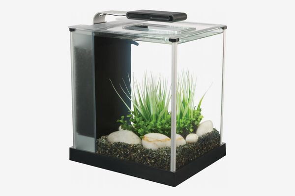 Fluval Spec III Aquarium Kit, 2.6-Gallon