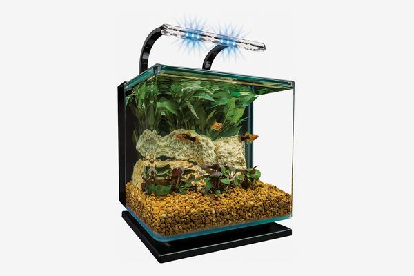 MarineLand Contour Glass Aquarium Kit with Rail Light